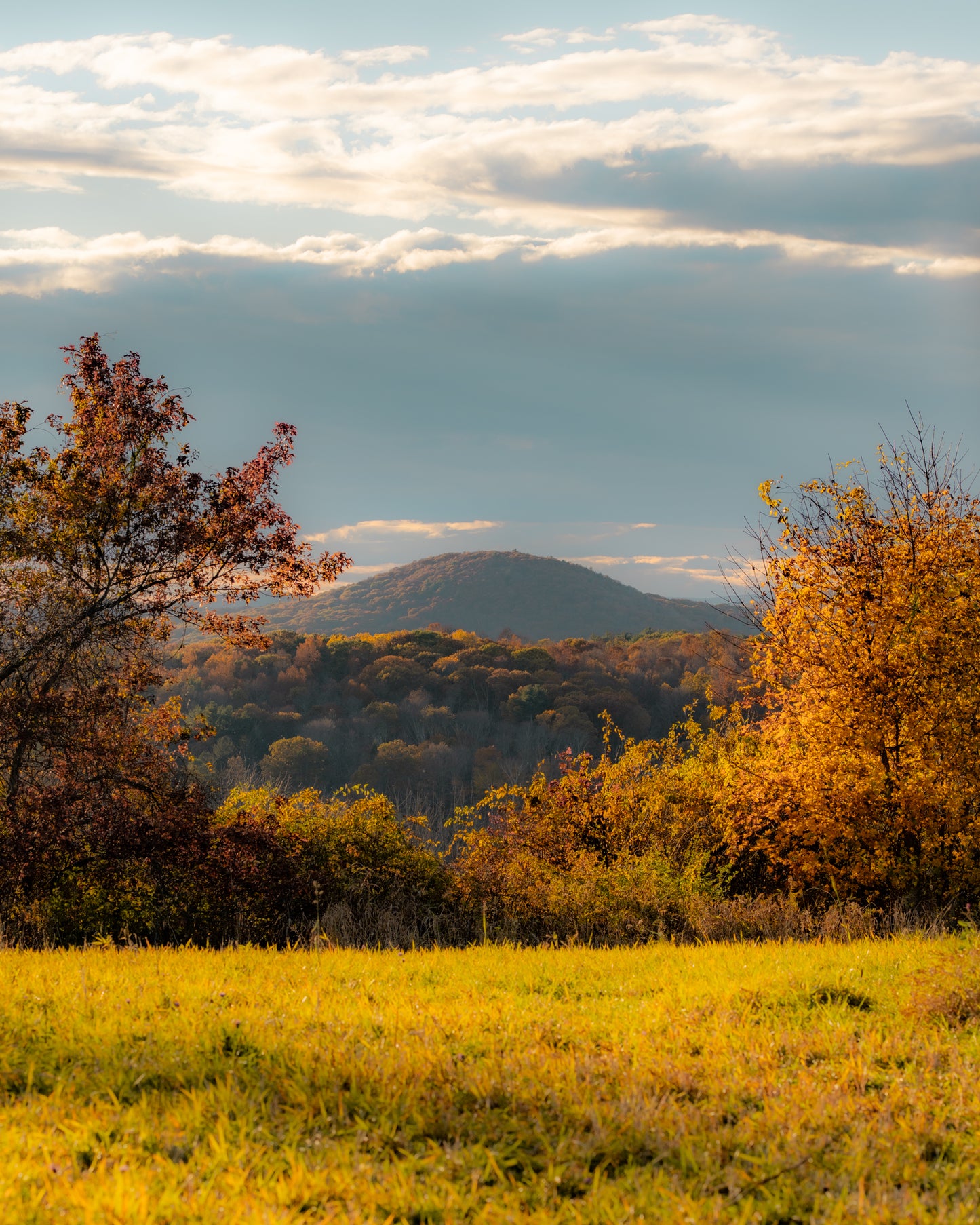 A Window to the Mountain