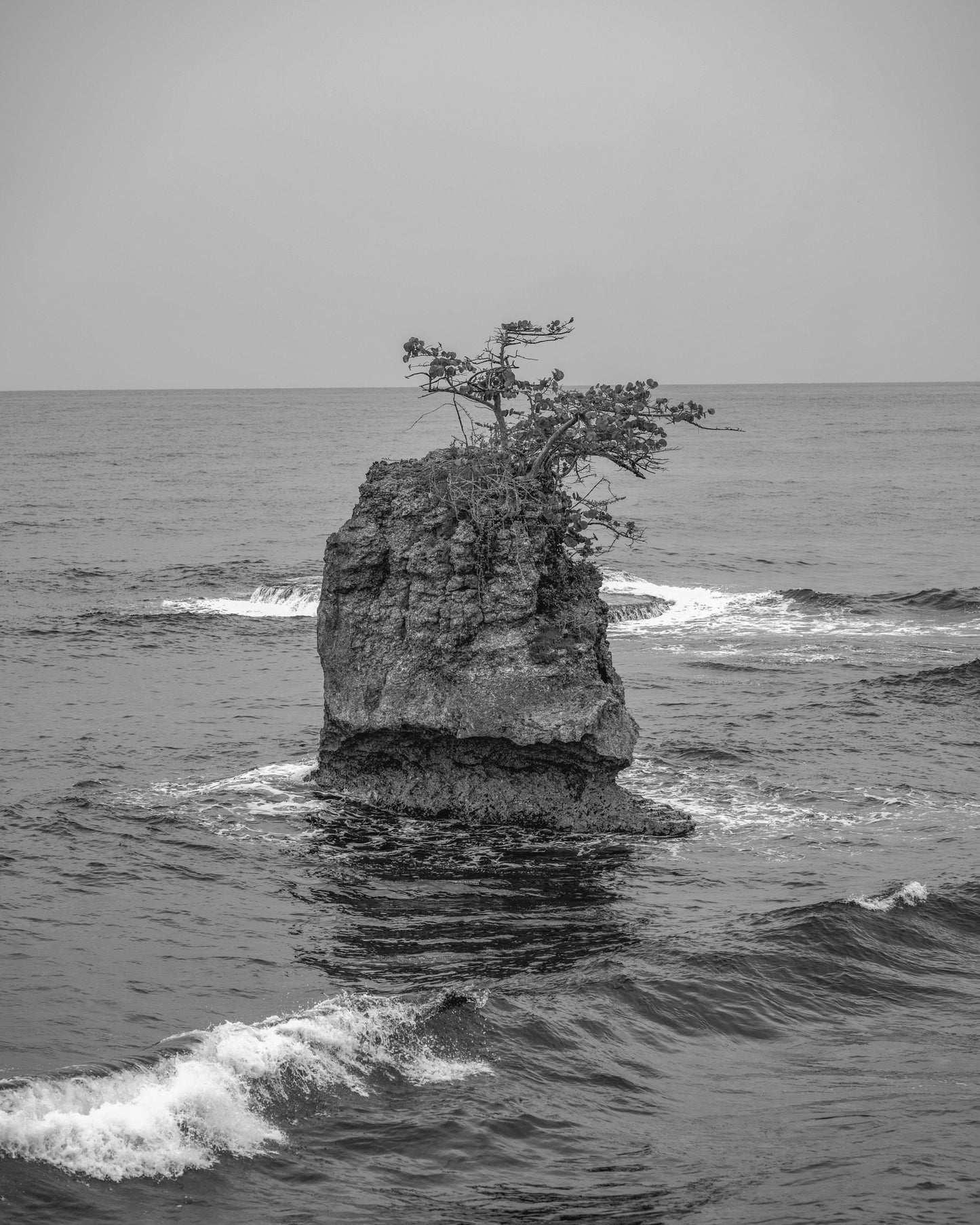 Calm Among the Waves