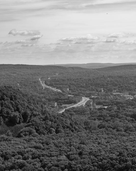 Between Nature and Motion