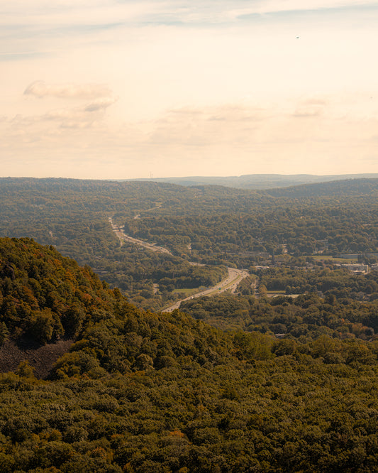 Between Nature and Motion