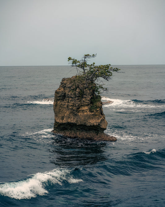 Calm Among the Waves