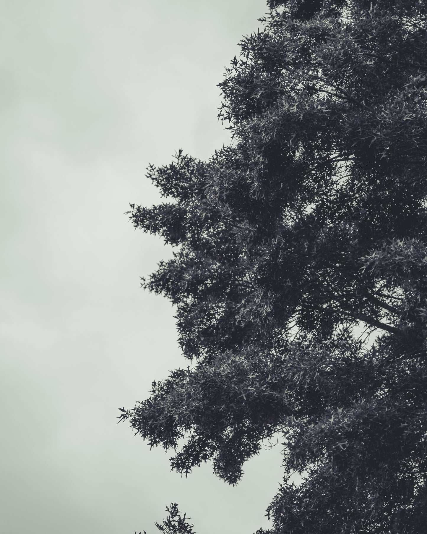 Two Sides of Silence