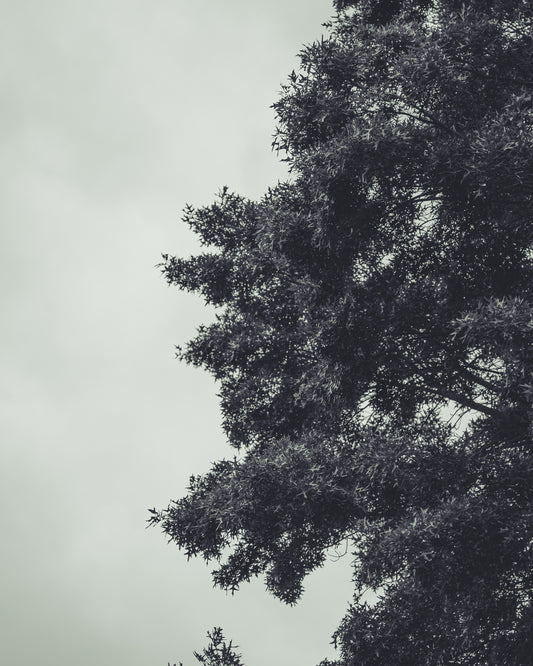 Two Sides of Silence